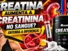 Creatina Aumenta a Creatinina no Sangue Entenda a Diferença!