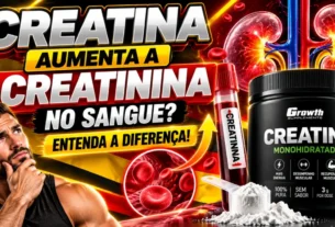 Creatina Aumenta a Creatinina no Sangue Entenda a Diferença!