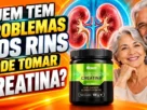 Quem Tem Problemas nos Rins Pode Tomar Creatina?
